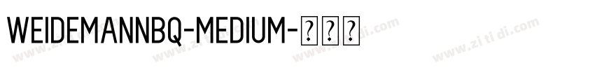 WeidemannBQ-Medium字体转换 WeidemannBQ-Medium字体转换