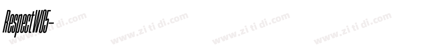 RespectW05字体转换