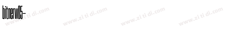 bitnerw05字体转换