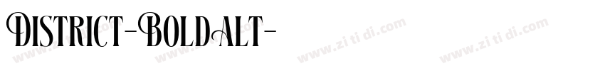 District-BoldAlt字体转换 District-BoldAlt字体转换
