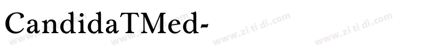 CandidaTMed字体转换