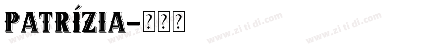 Patrízia字体转换