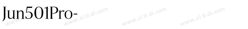 Jun501Pro字体转换