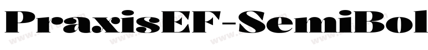 PraxisEF-SemiBold字体转换