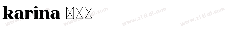 karina字体转换