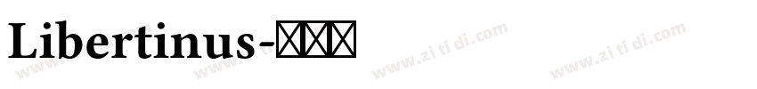 Libertinus字体转换 Libertinus字体转换