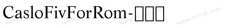 CasloFivForRom字体转换