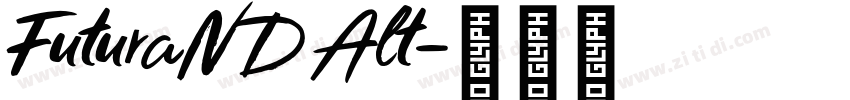 FuturaNDAlt字体转换