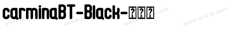 carminaBT-Black字体转换 carminaBT-Black字体转换
