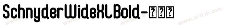 SchnyderWideXLBold字体转换