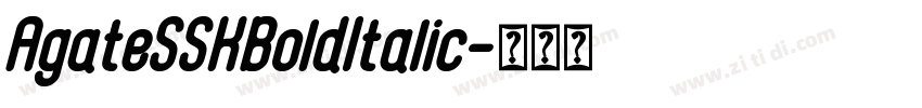 AgateSSKBoldItalic字体转换