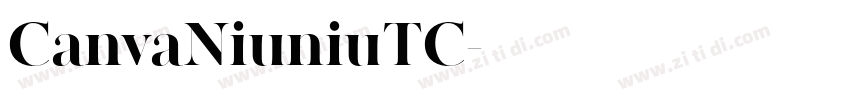 CanvaNiuniuTC字体转换