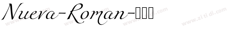 Nueva-Roman字体转换