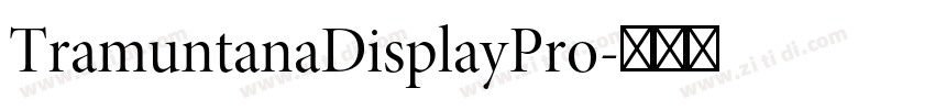 TramuntanaDisplayPro字体转换 TramuntanaDisplayPro字体转换