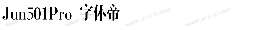 Jun501Pro字体转换