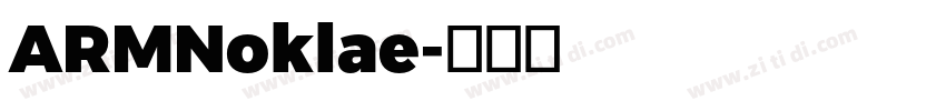 ARMNoklae字体转换