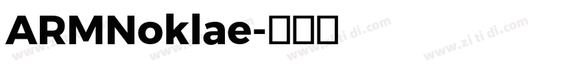 ARMNoklae字体转换