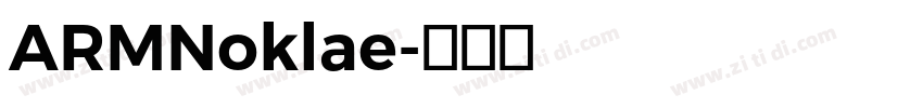 ARMNoklae字体转换