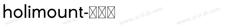 holimount字体转换