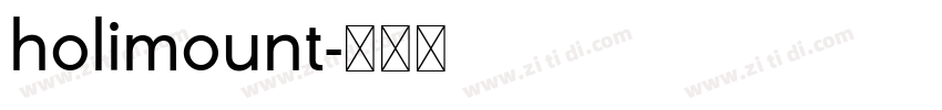holimount字体转换
