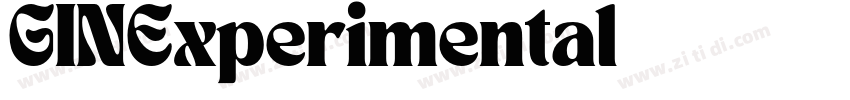 GINExperimental字体转换 GINExperimental字体转换