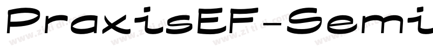 PraxisEF-SemiBold字体转换