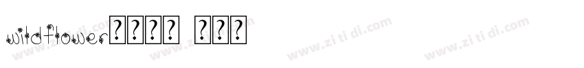 wildflower字幕下载字体转换