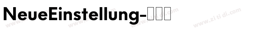NeueEinstellung字体转换 NeueEinstellung字体转换