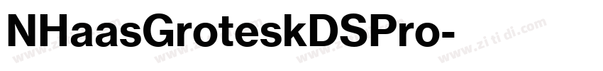 NHaasGroteskDSPro字体转换