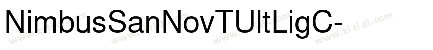NimbusSanNovTUltLigC字体转换