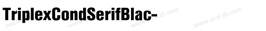 TriplexCondSerifBlac字体转换 TriplexCondSerifBlac字体转换