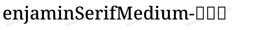 enjaminSerifMedium字体转换