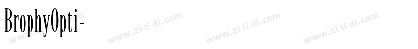 BrophyOpti字体转换