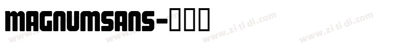 MagnumSans字体转换