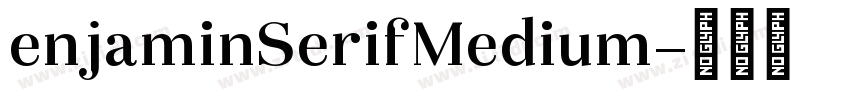 enjaminSerifMedium字体转换