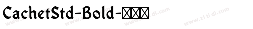 CachetStd-Bold字体转换