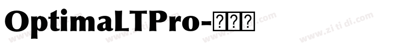 OptimaLTPro字体转换