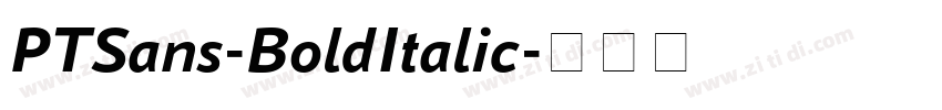 PTSans-BoldItalic字体转换 PTSans-BoldItalic字体转换