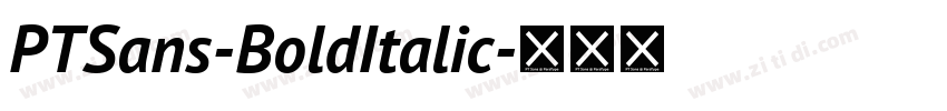 PTSans-BoldItalic字体转换 PTSans-BoldItalic字体转换