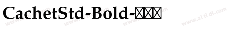 CachetStd-Bold字体转换