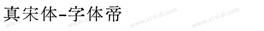 真宋体字体转换