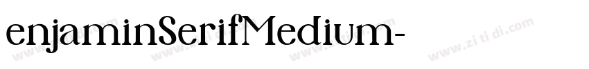 enjaminSerifMedium字体转换
