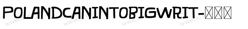 polandcanintobigwrit字体转换