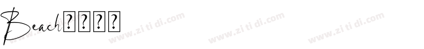 Beach字体转换