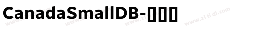 CanadaSmallDB字体转换