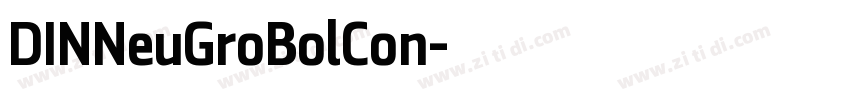 DINNeuGroBolCon字体转换
