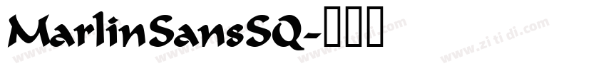 MarlinSansSQ字体转换
