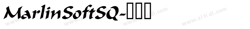 MarlinSoftSQ字体转换