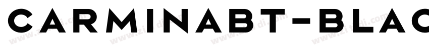 carminaBT-Black字体转换 carminaBT-Black字体转换