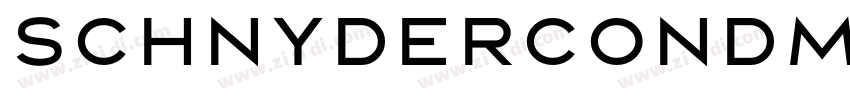 SchnyderCondMLight字体转换